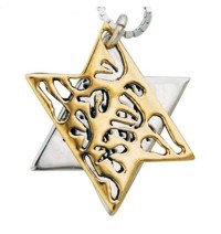 Star of David Necklace by HaAri 